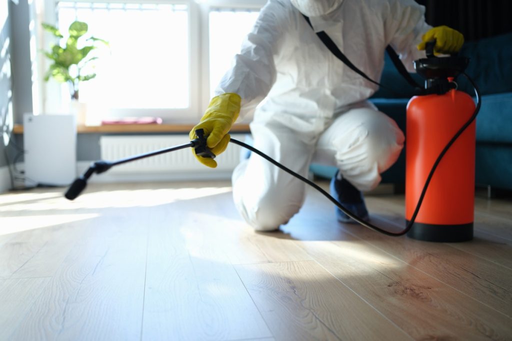 Here are the Techniques Used by Professional Pest Control Services