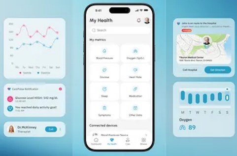 How Phenomenon Studio Masters Healthcare, EdTech & Branding