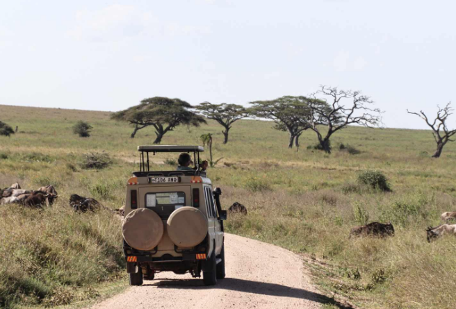 TANZANIA SAFARI PLANNING MISTAKES TRAVELERS DON’T REALIZE THEY’RE MAKING